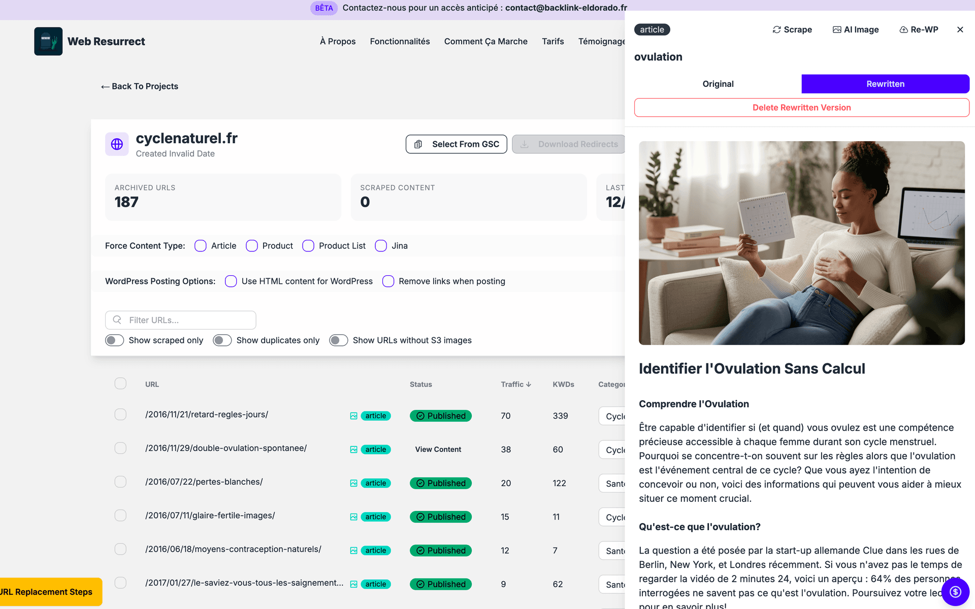 Web Resurrect Interface